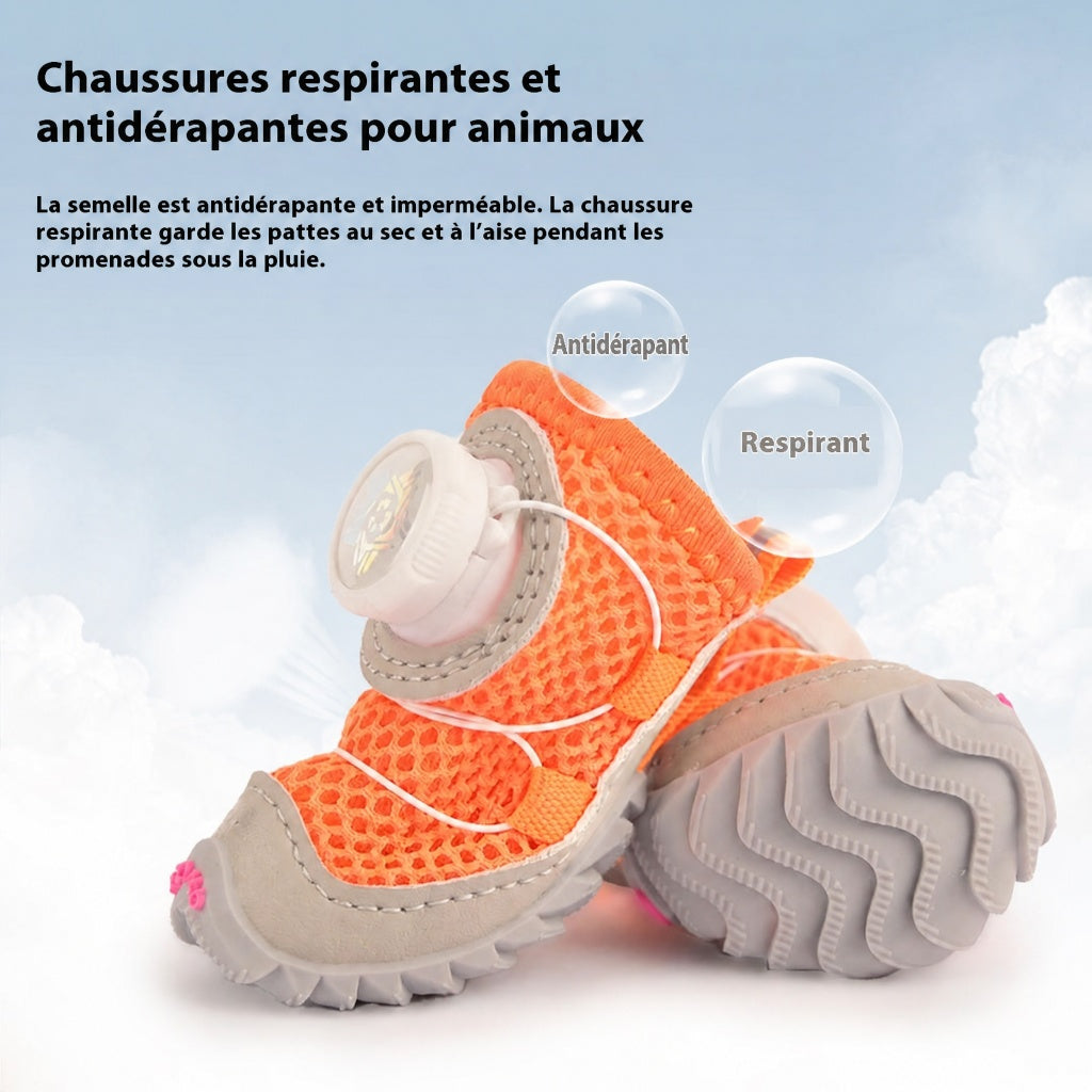 Chaussures pour petit chien – Semelle souple et fine