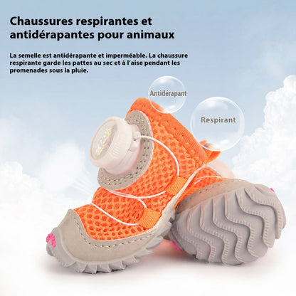 Chaussures pour petit chien – Semelle souple et fine
