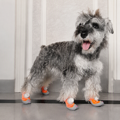 Chaussures pour petit chien – Semelle souple et fine