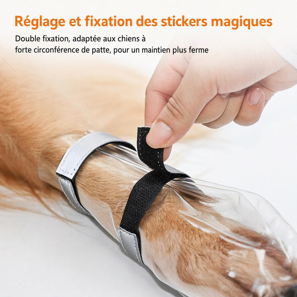 Chaussures imperméables anti-éclaboussures pour grands chiens